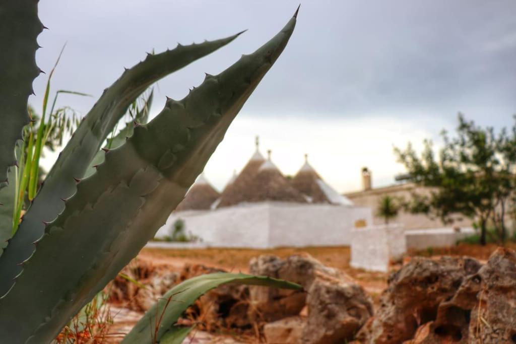 I Trulli D'A Ross Villa Ceglie Messapica Eksteriør bilde